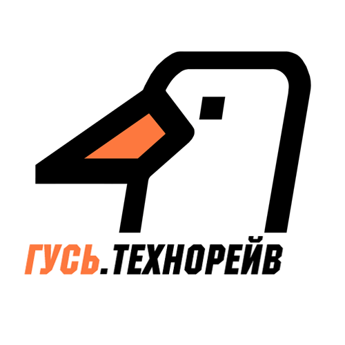 Радио Гусь Технорейв